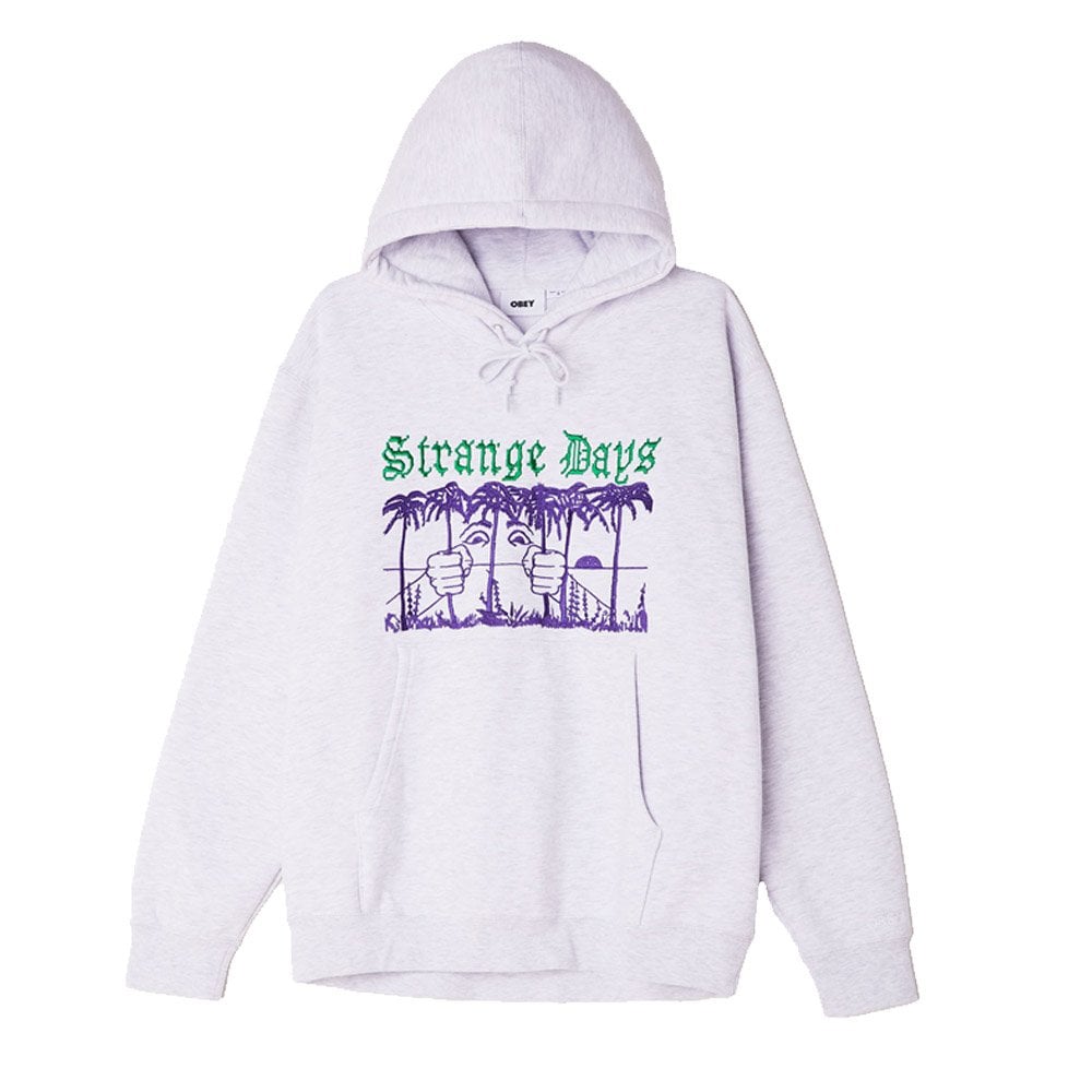 Strange Days Hoodie - Ash