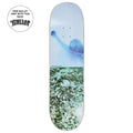 Paul Grund Man With Window Deck - Light Blue