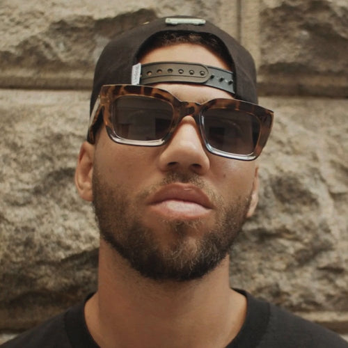 Anna - Tortoise