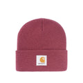 Short Watch Beanie - Punch