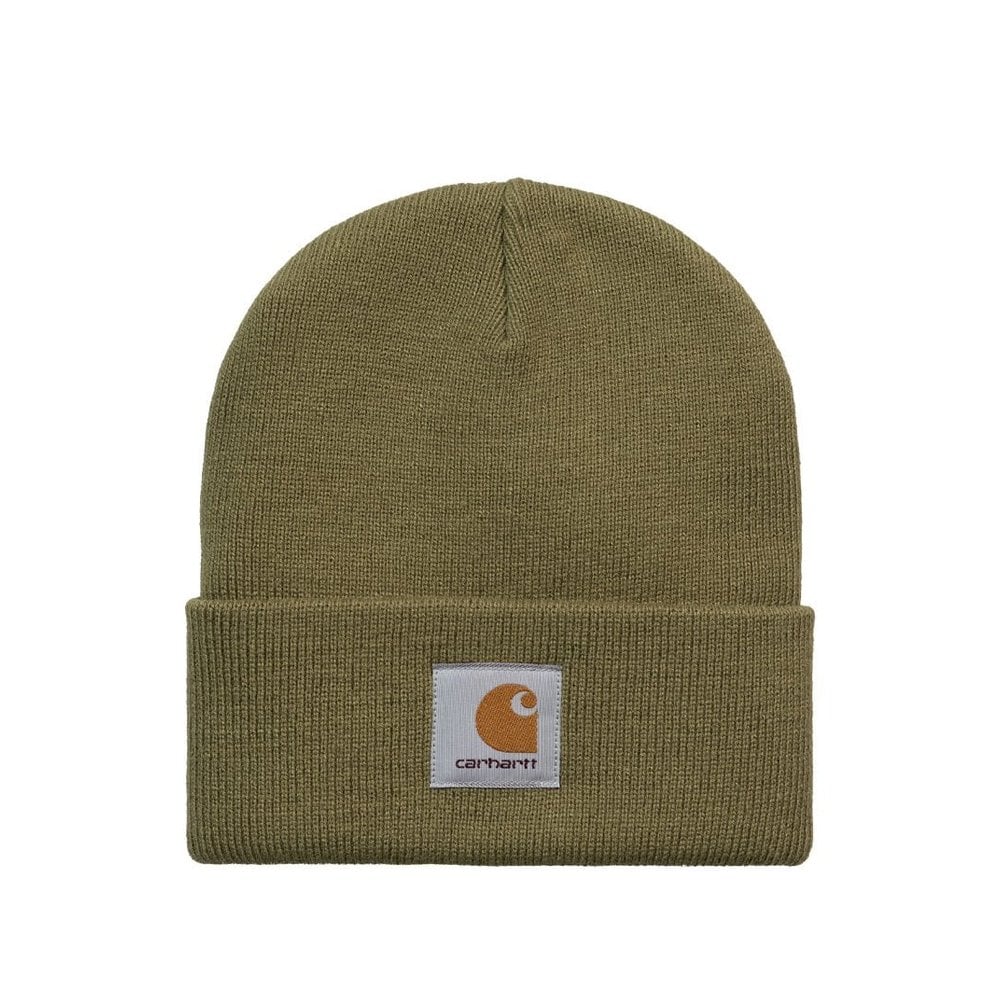 Short Watch Beanie - Larch