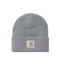 Short Watch Beanie - Mirror