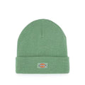 Gibsland Beanie - Dark Ivy