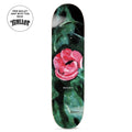 Nick Boserio Amaryllis Deck - O/C