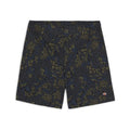 Saltville Shorts - Blue/Brown