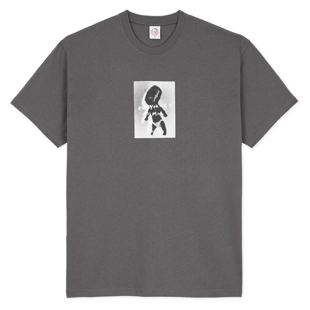 Everything Is Normal T-Shirt - Graphite