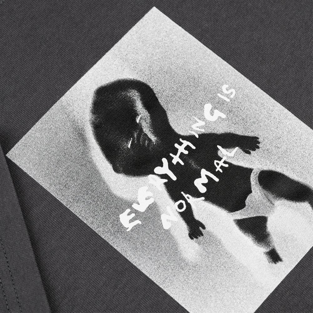 Everything Is Normal T-Shirt - Graphite