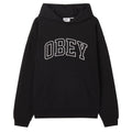 Collegiate Extra Heavy Pullover Hood - Black