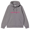 Hooded Carhartt Sweatshirt - Yosemite/Dsc