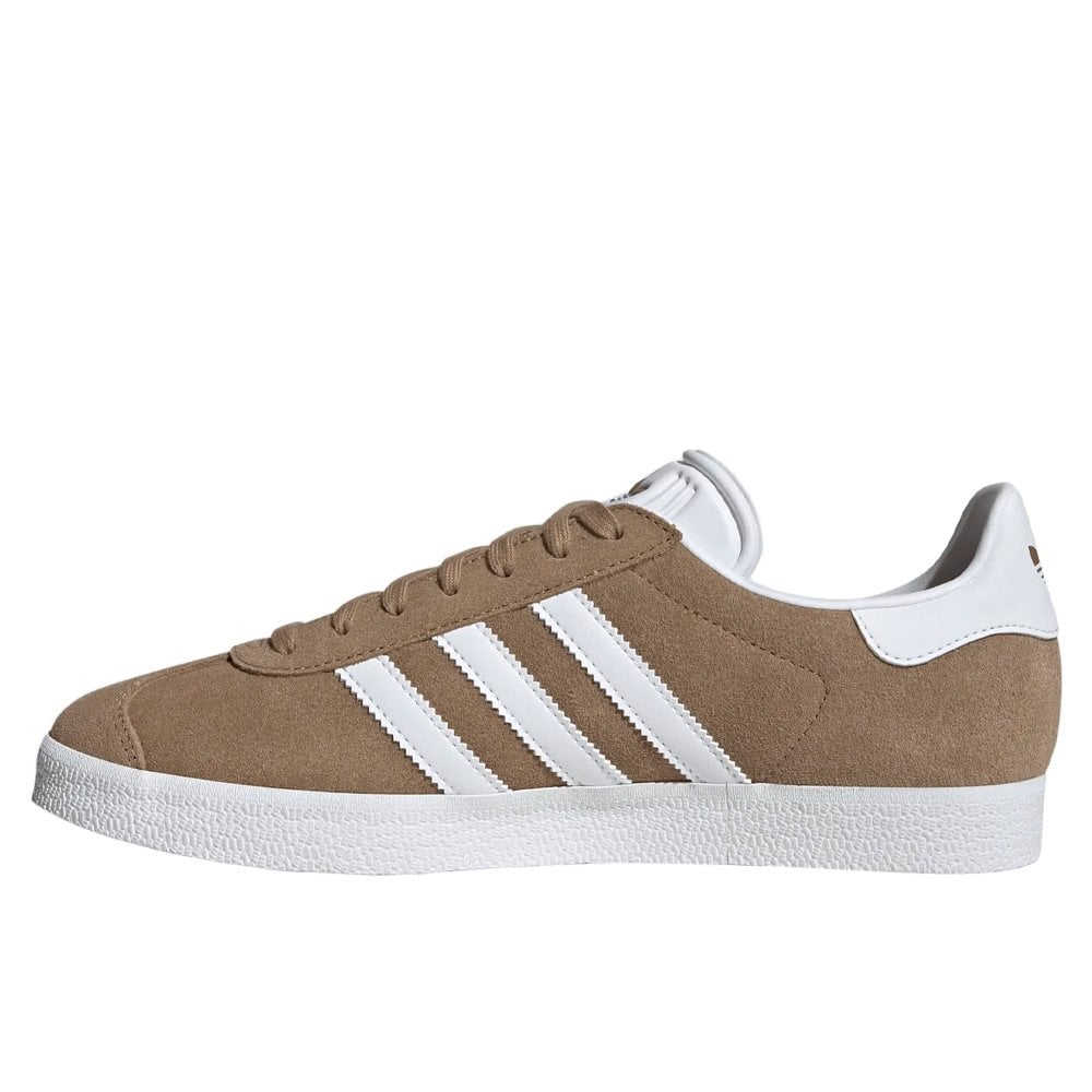 Gazelle - Sup Col