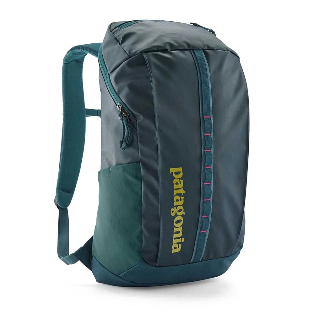 Shop Patagonia Black Hole 25L Pack | Accessories