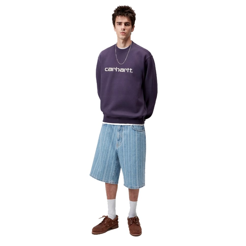 Carhartt Sweatshirt - Lokers/Salt