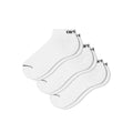 Script Sneakers Socks - White/Black