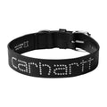 Script Stud Dog Collar (Medium) - Black