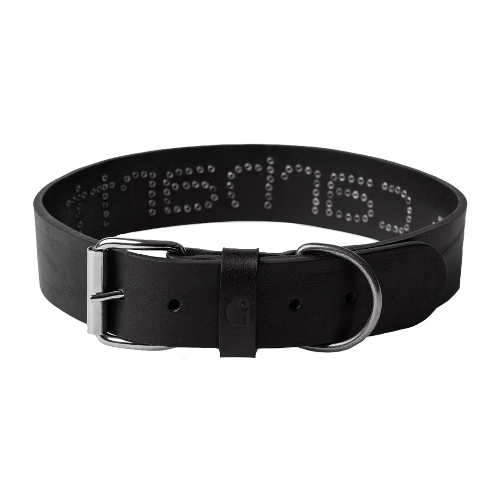 Script Stud Dog Collar (Medium) - Black
