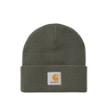 Short Watch Beanie - Shungite