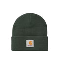 Short Watch Beanie - Dark Scarab