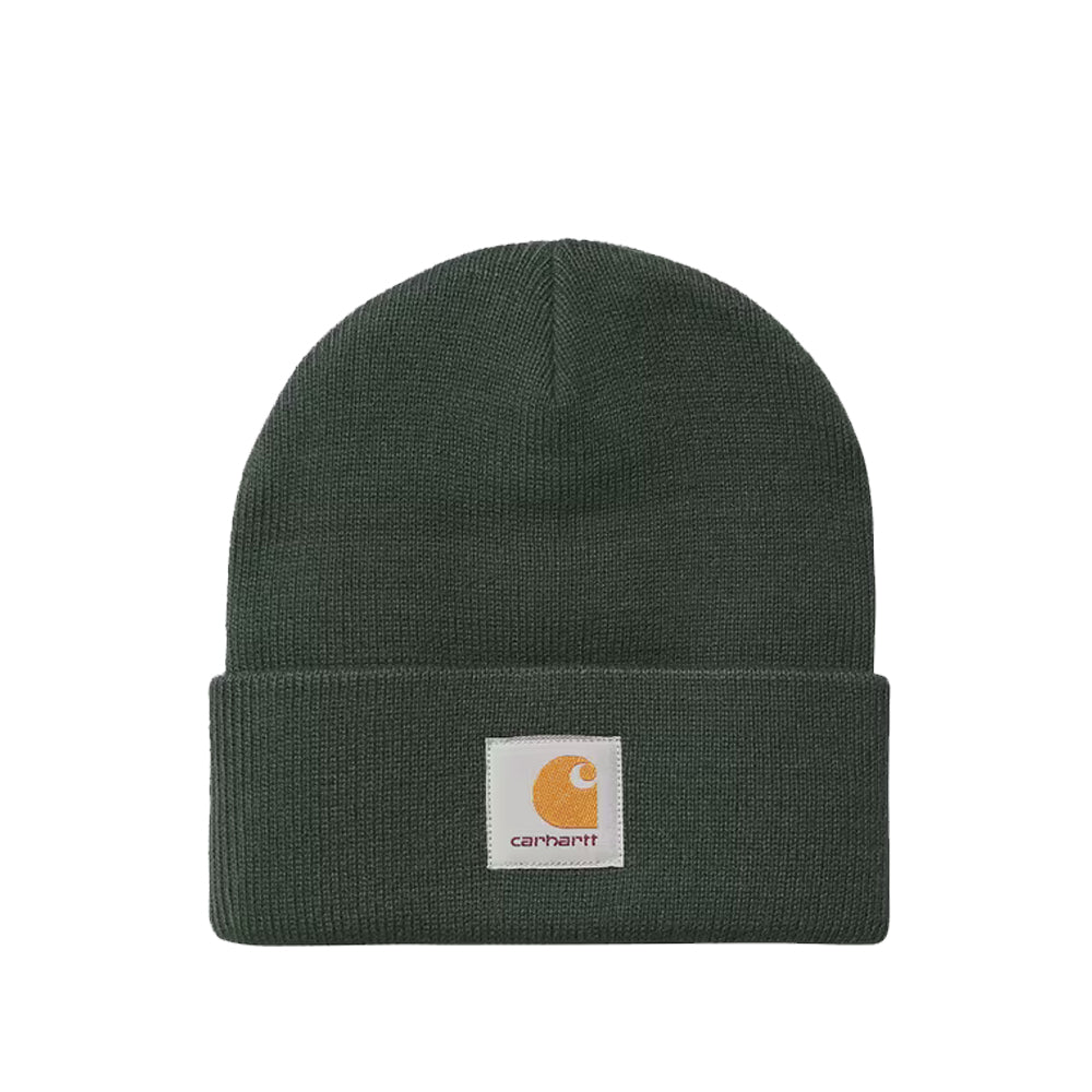Short Watch Beanie - Dark Scarab