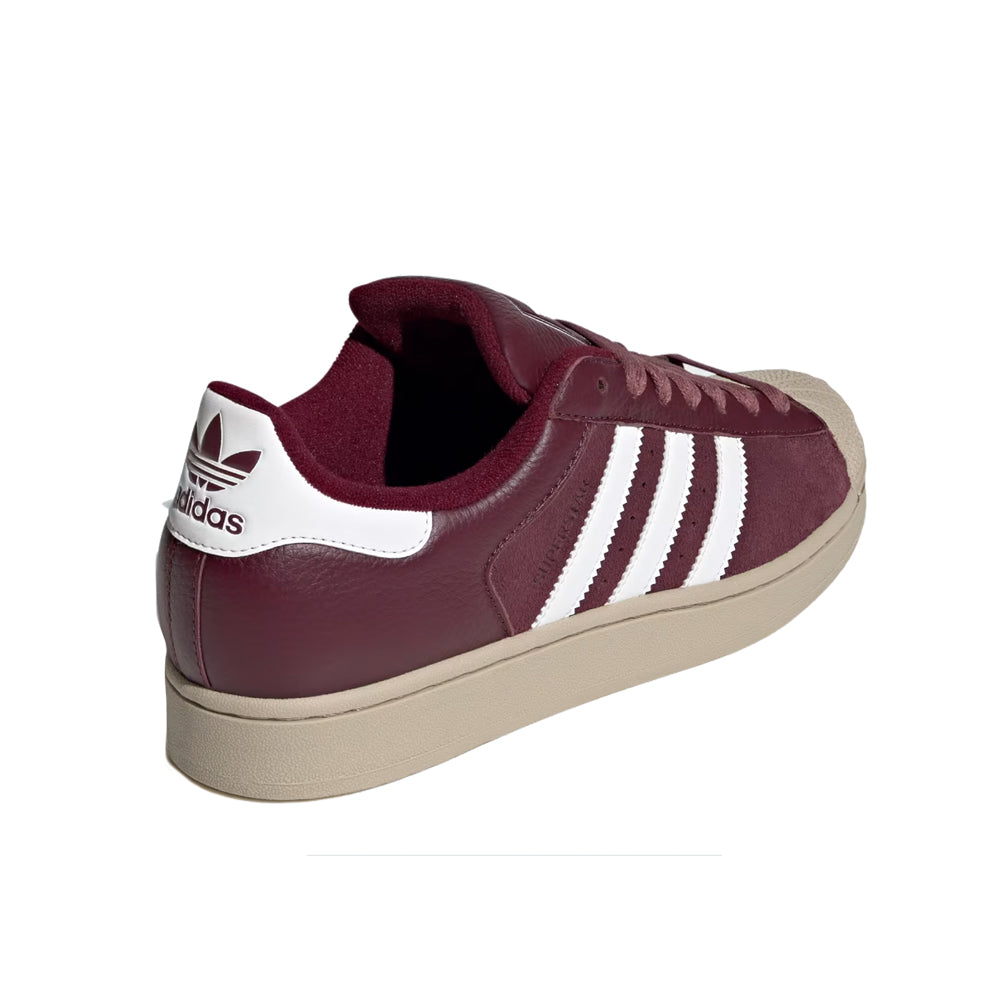 Superstar II - Maroon/White