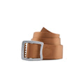 Tech Web Belt - Cinnamon Brown